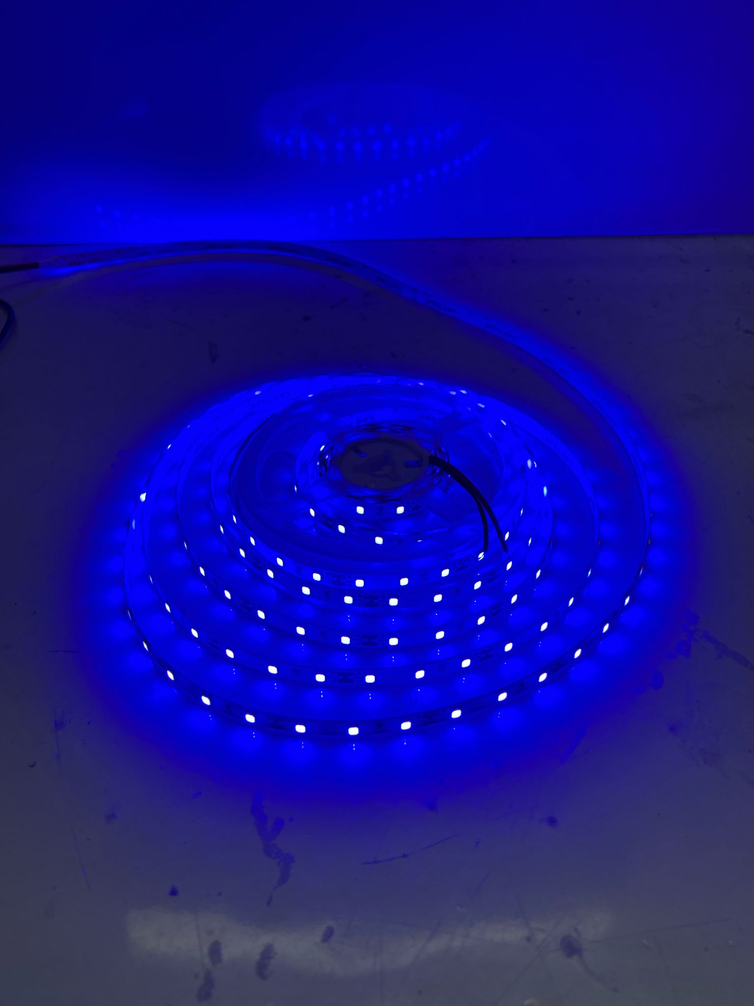 5M 12V MAVİ ŞERİT LED